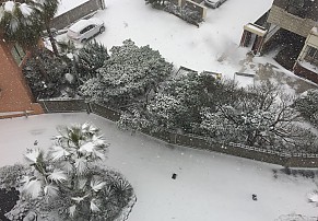 [제주] 코북이 교사연수